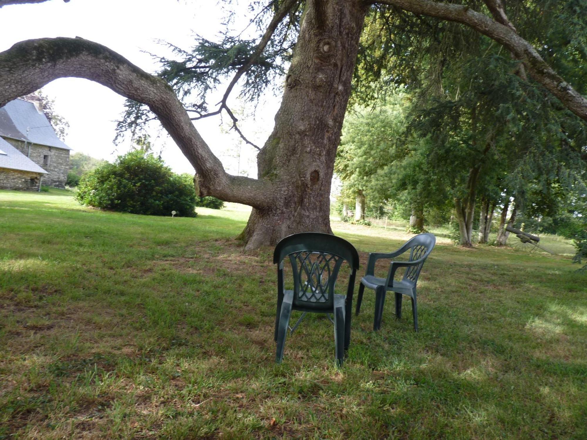 Chateau De Craon Comblessac Zewnętrze zdjęcie